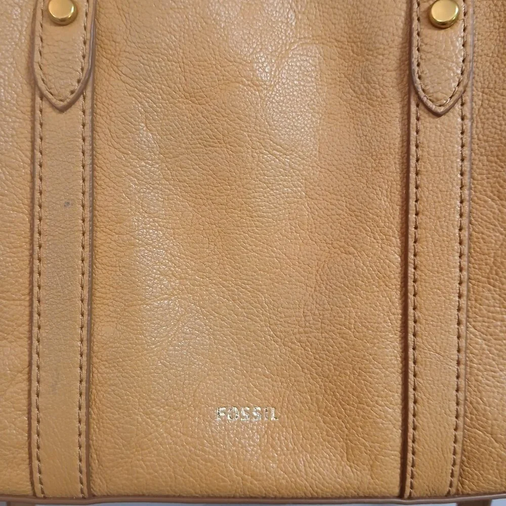 Fossil Tan Satchel with Striped Accent